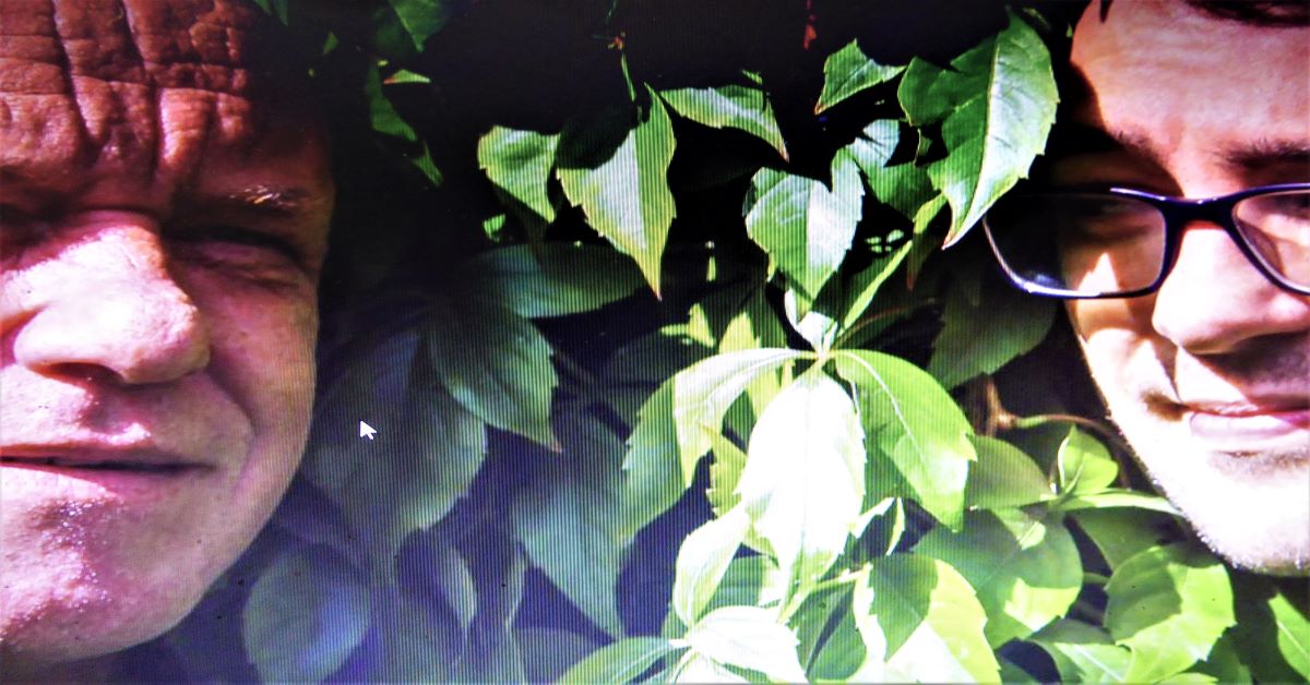 The Orb from theorb.com