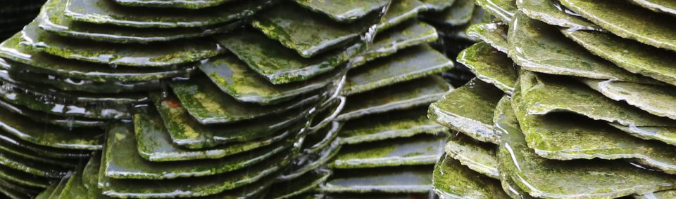 Image of Cascading Water