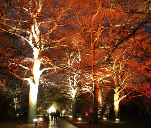Kew Gardens - Trees Illuminated 2018