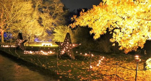 Kew Gardens Illumination 2018