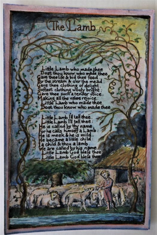 The Lamb (William Blake) Postcard