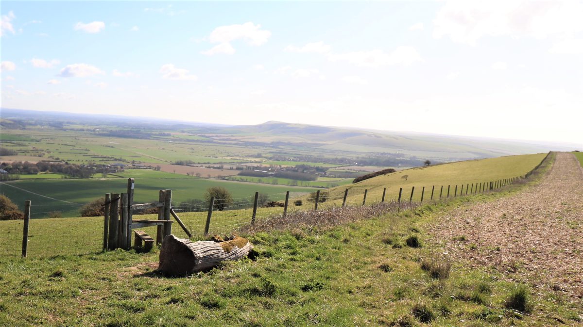 View from Iford Hill Bench