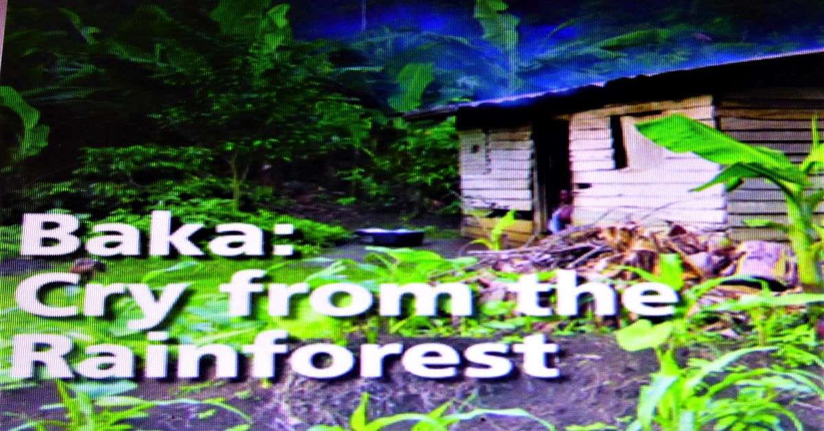 Baka: A Cry from the Rainforest - Film