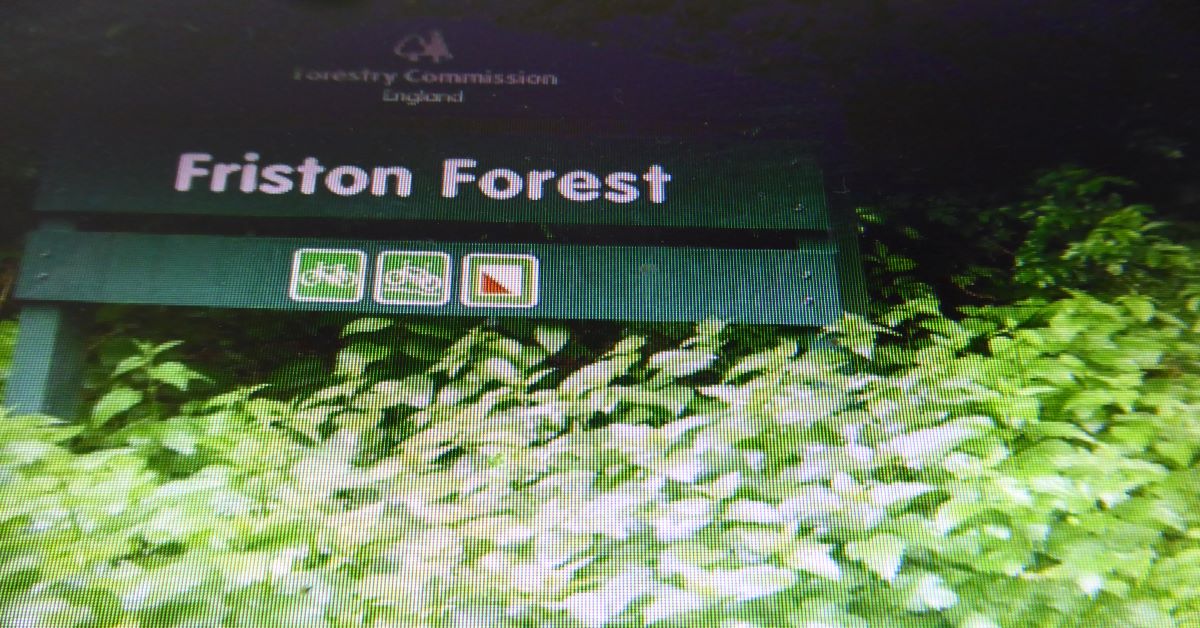 A Friston Forest sign
