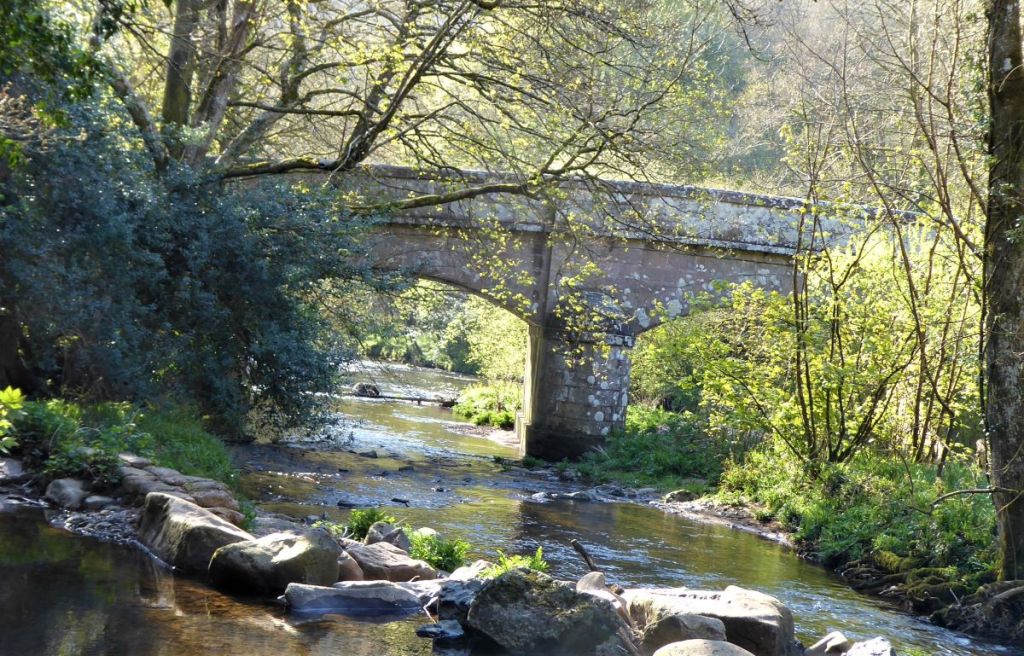Steps Bridge (nr Exeter) on a Misty Morning